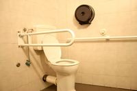 handicap accessing toilet